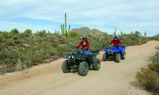 Program Photo  (162051)