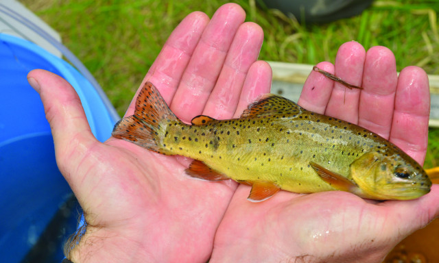 Program Photo  (162048)