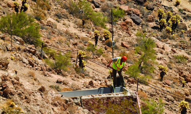 Program Photo  (162050)