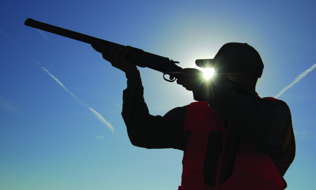 Program Photo  (162047)