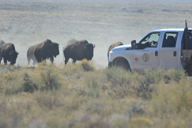 Program Photo  (171771)