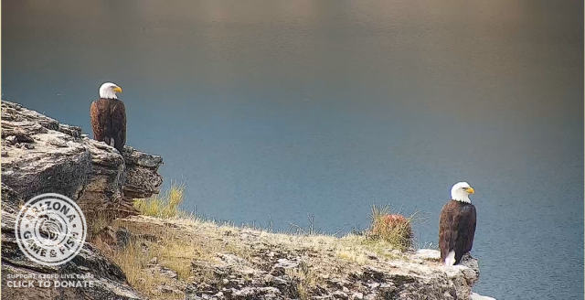 Program Photo  (171769)