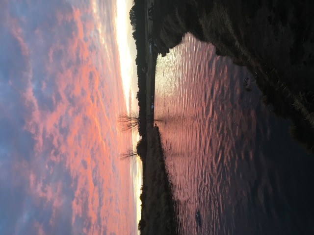 Program Photo  (192023)