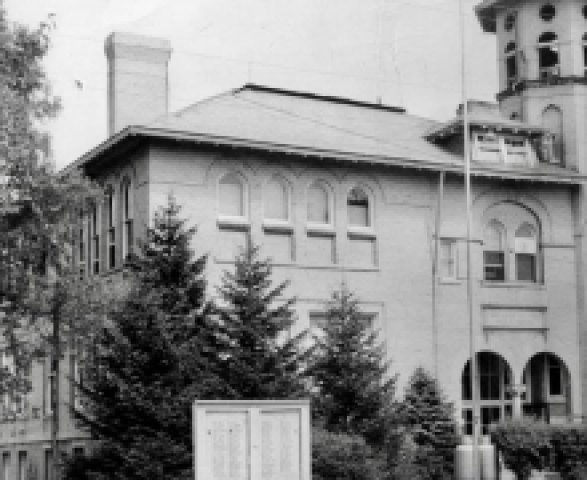 Agency Photo  (213762)