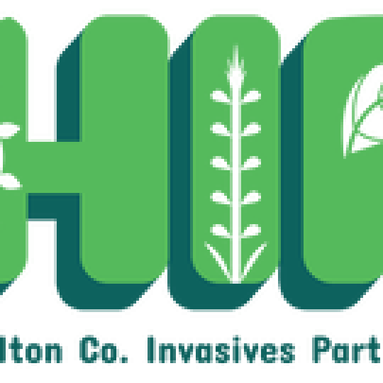 Agency Logo