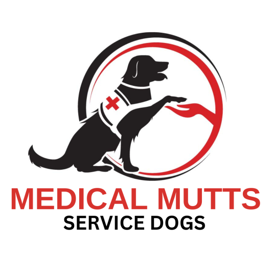 Agency Logo