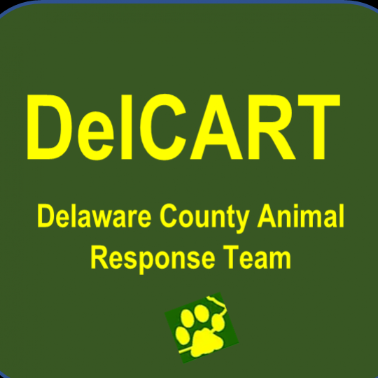 Program Logo