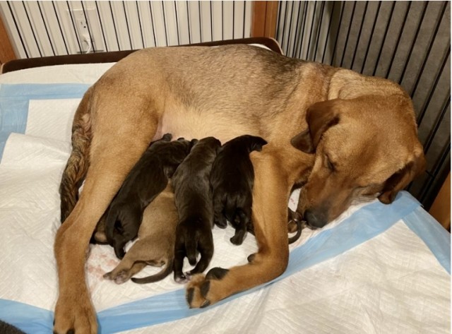 Program Photo  (182757)