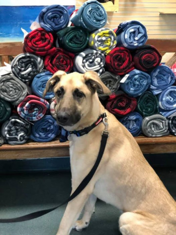 Program Photo  (162842)