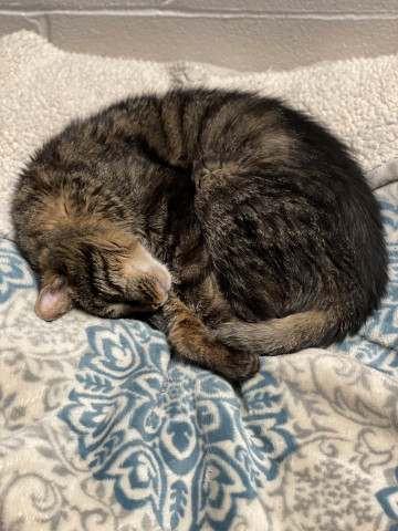 Program Photo  (162843)