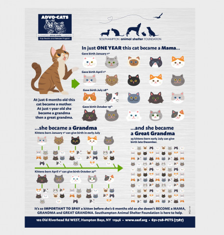 Program Photo  (163034)