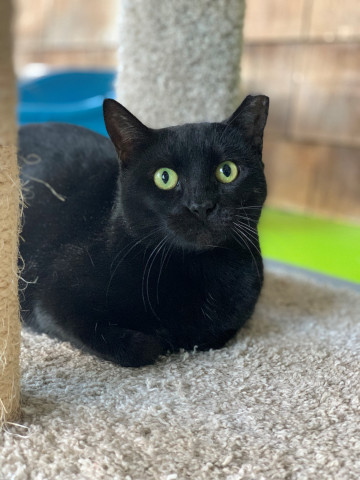 Program Photo  (163046)