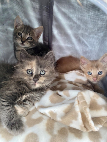 Program Photo  (163035)