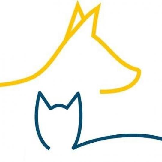 Agency Logo