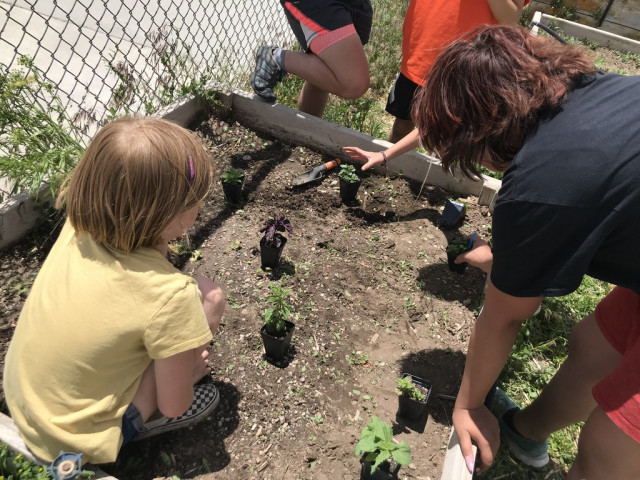 Organization Photo  (170440)