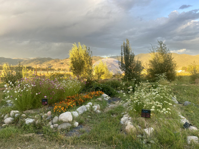 Organization Photo  (170437)