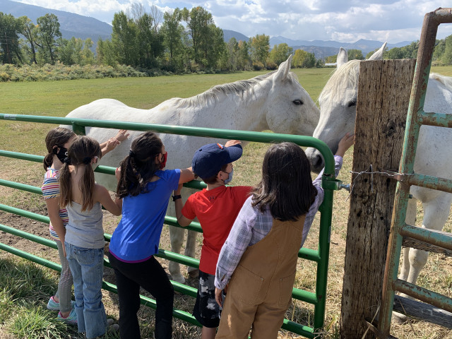 Organization Photo  (170435)