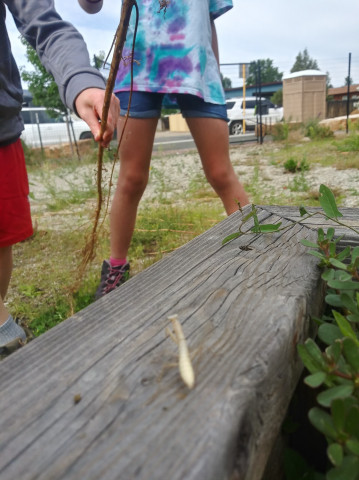 Organization Photo  (170441)