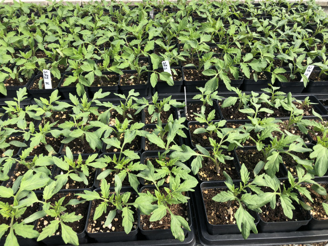 Organization Photo  (170452)