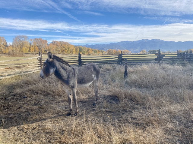 Organization Photo  (170436)