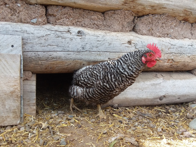 Organization Photo  (170434)