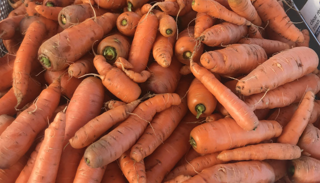 Organization Photo  (170455)