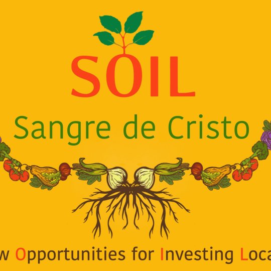 Organization Logo