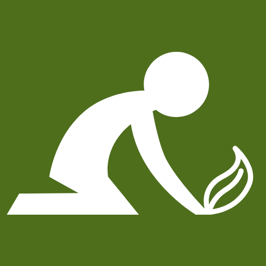 Program Logo