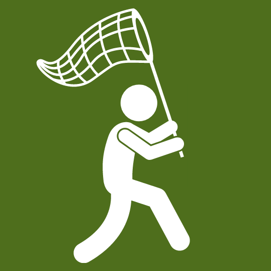 Program Logo