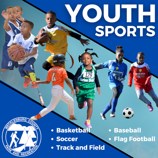 Program Logo
