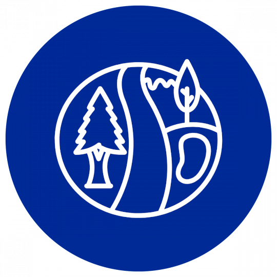 Program Logo