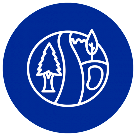 Program Logo