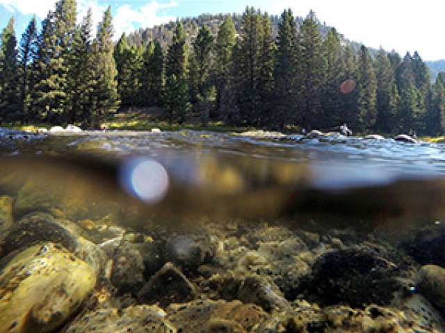 Program Photo  (171442)