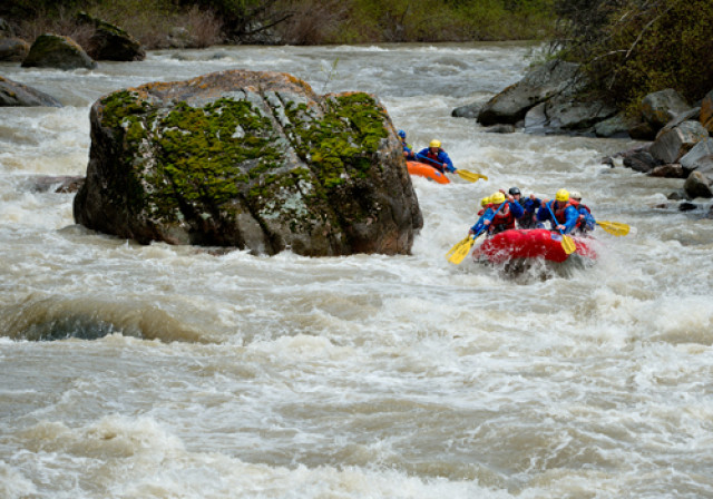 Program Photo  (171446)