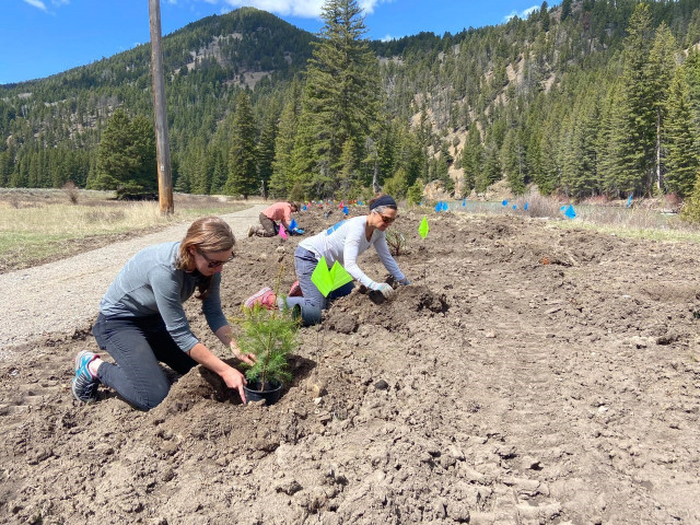 Program Photo  (171449)