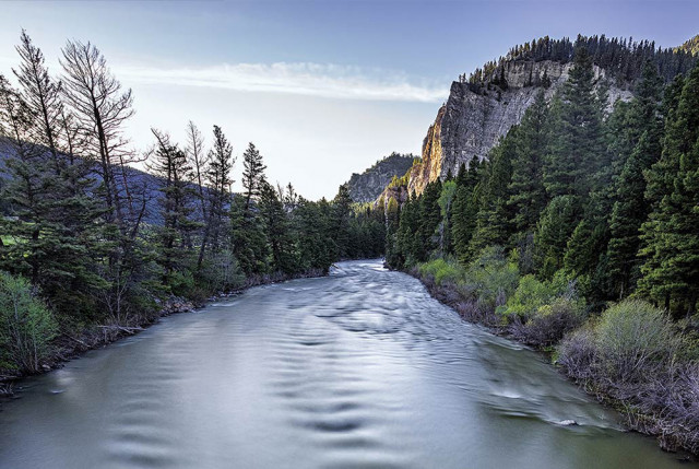 Program Photo  (171447)