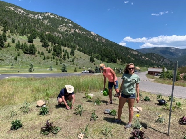 Program Photo  (171704)