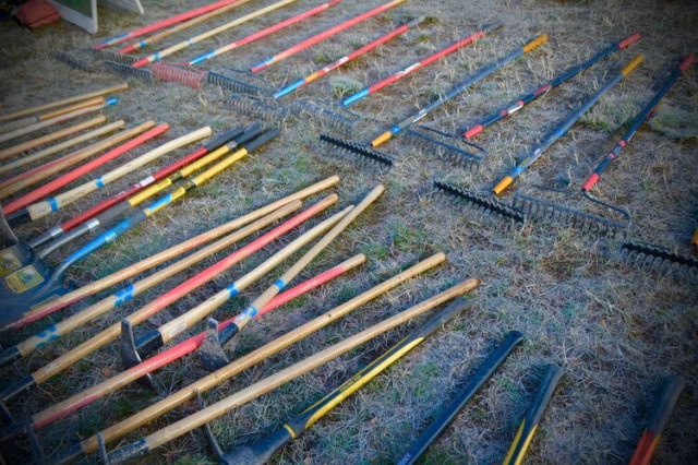 Program Photo  (171795)