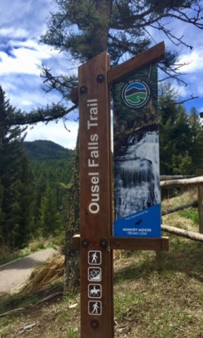 Program Photo  (171807)