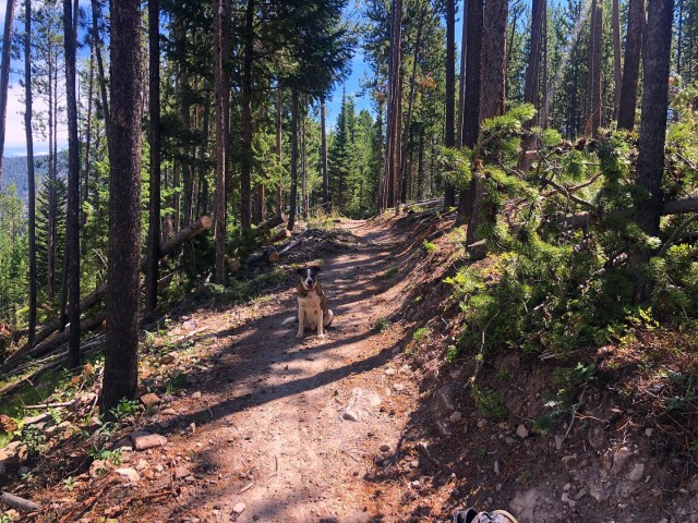 Program Photo  (189053)