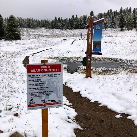 Program Photo  (189052)