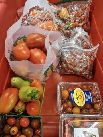 Program Photo  (175850)