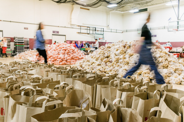 Program Photo  (175366)