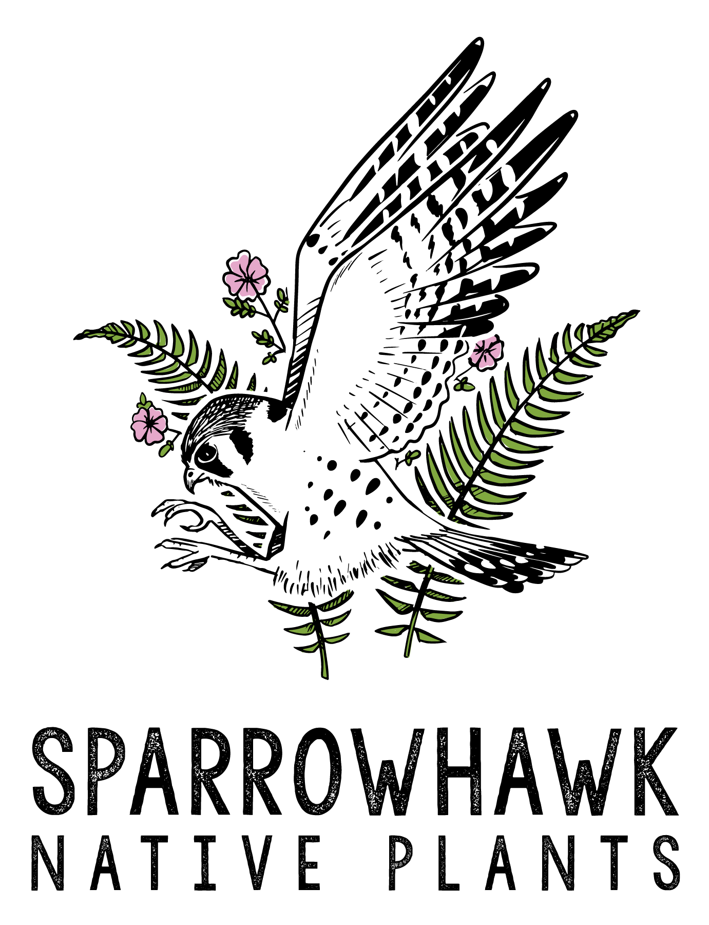 sparrowhawk-logo-rgb-square-color.png