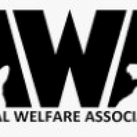 Agency Logo