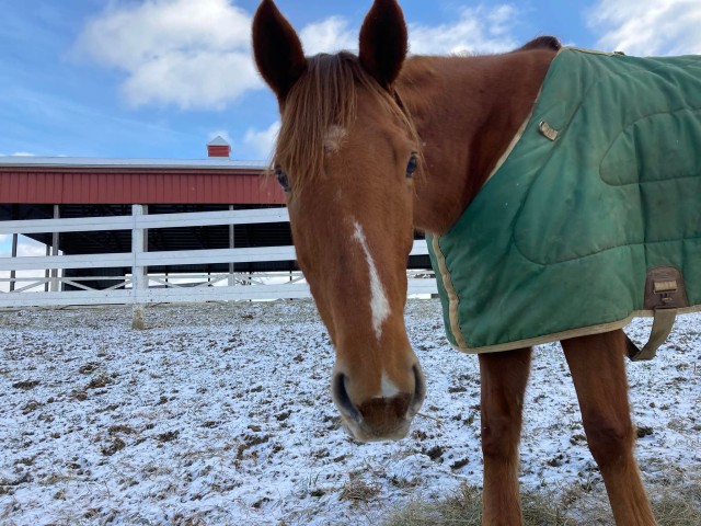 Agency Photo  (195817)
