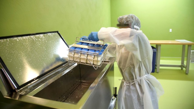 Agency Photo  (201165)