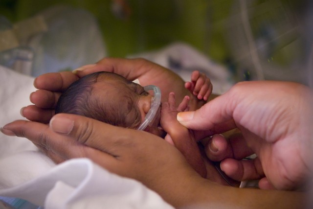 Agency Photo  (201167)