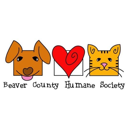 Agency Logo