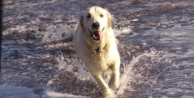 Agency Photo  (175007)